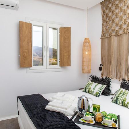Ninemia Naxos Suites Agios Thaleleos Εξωτερικό φωτογραφία