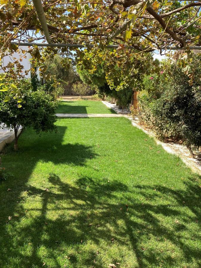Ninemia Naxos Suites Agios Thaleleos Εξωτερικό φωτογραφία