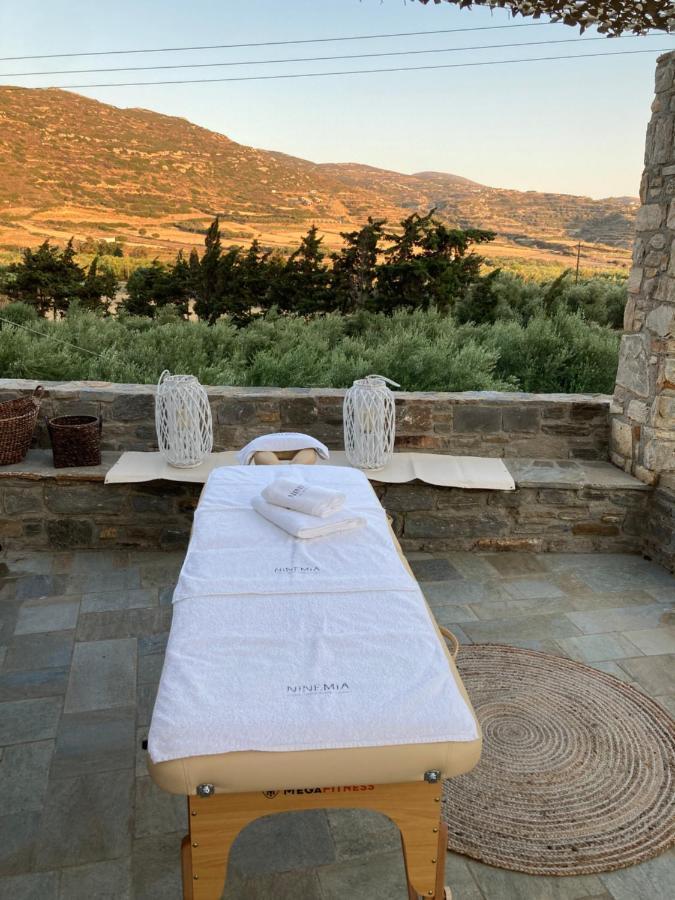 Ninemia Naxos Suites Agios Thaleleos Εξωτερικό φωτογραφία